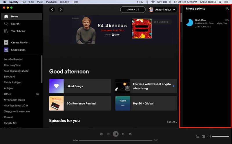 Spotify Private Session Mode