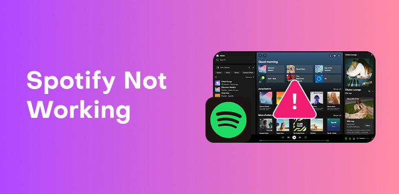 Spotify Not Working